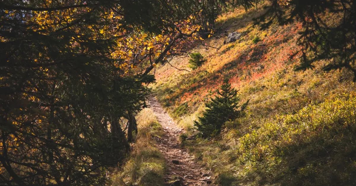 Comment choisir la meilleure période pour vos expéditions nature