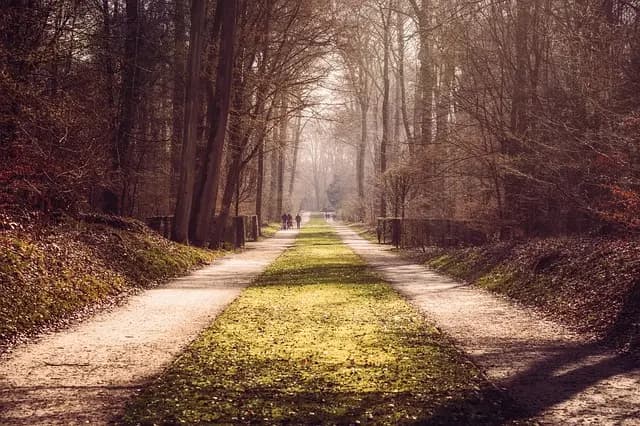 Top 10 des astuces pour réussir votre expédition en pleine nature