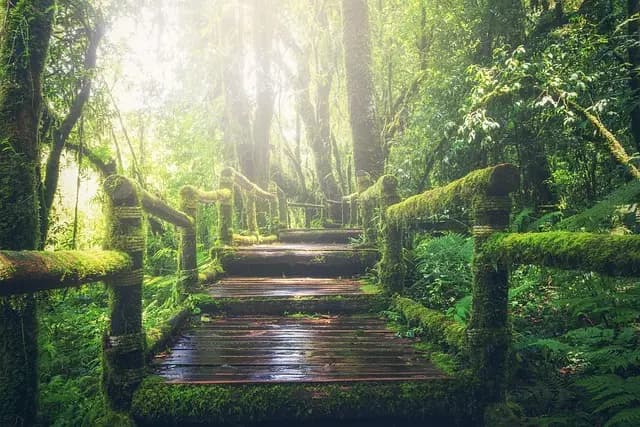 10 Astuces pour Réussir Votre Premières Expéditions en Nature