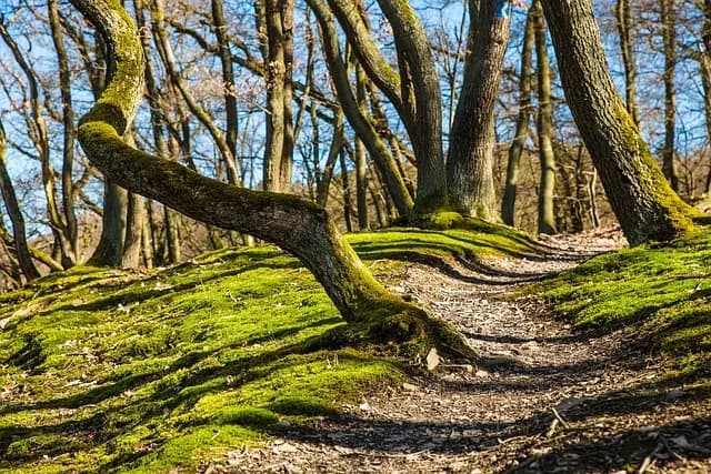 Top 7 des accessoires indispensables pour vos expéditions nature