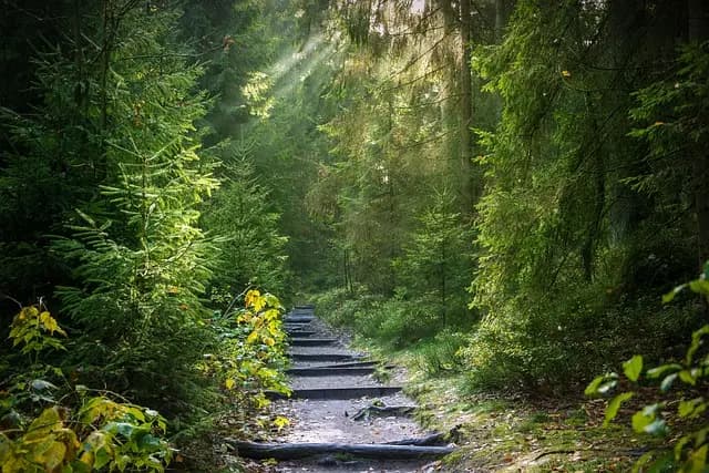 Les 10 meilleures astuces pour réussir votre expédition en nature