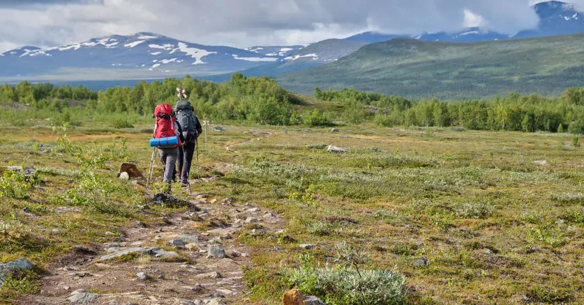 Les Meilleures Applications pour Planifier Vos Expéditions Nature