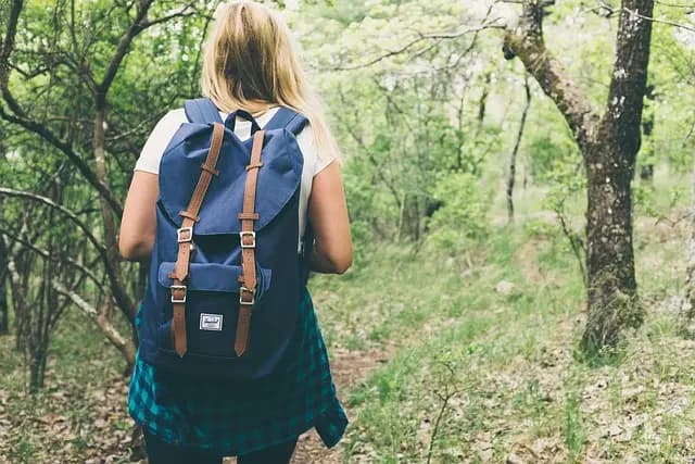 Comment Planifier Une Expédition Nature Réussie