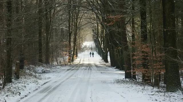 Les Meilleures Pratiques pour Préparer une Expédition Nature