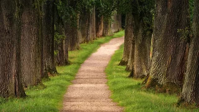 Comment Préparer votre Expédition Nature : Guide Complet