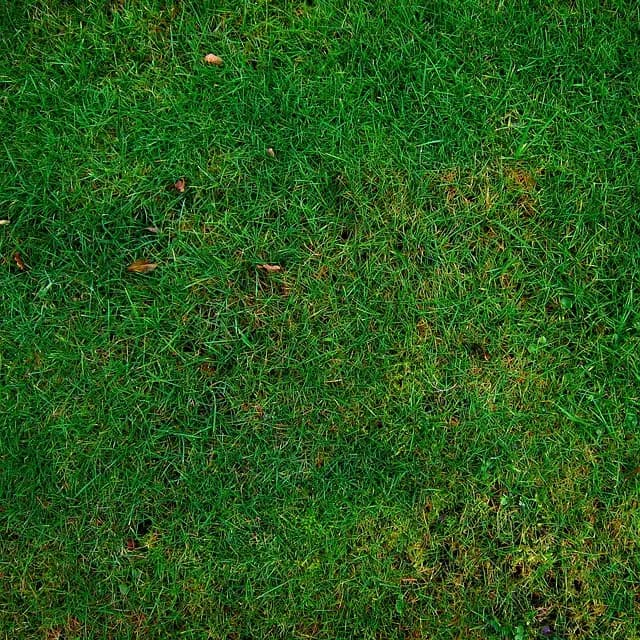 Les meilleures pratiques pour réduire votre impact environnemental en expédition