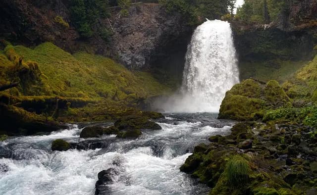 Les meilleures destinations pour des expéditions nature en 2026
