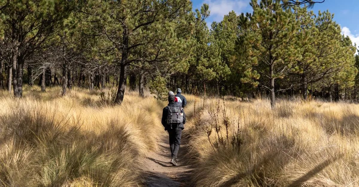 10 conseils pour réduire votre impact environnemental lors des expéditions