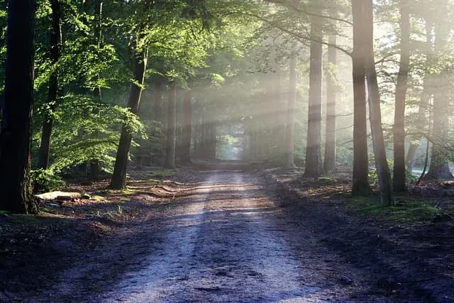 Les meilleures astuces pour planifier une expédition nature réussie