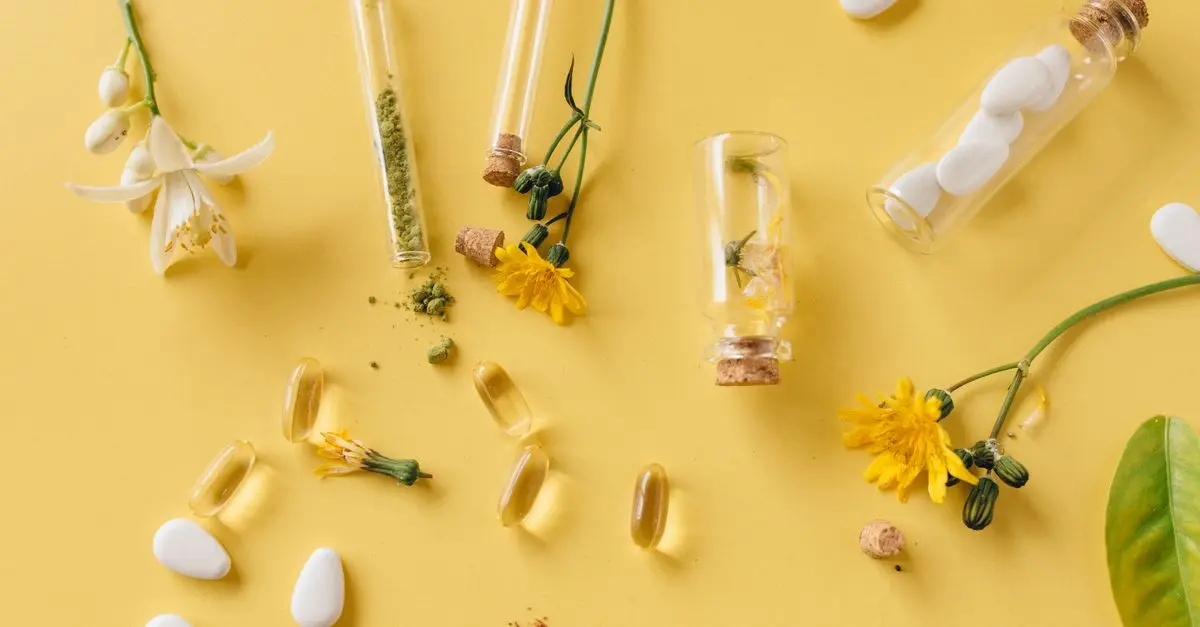 10 Plantes Médicinales à Découvrir lors de vos Expéditions Nature