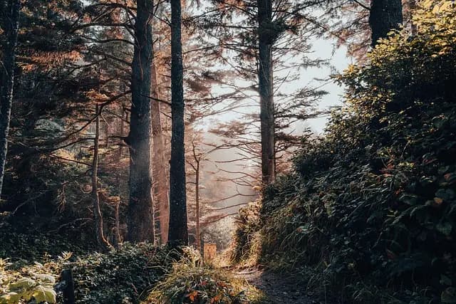 Comment préparer une expédition nature en toute sérénité