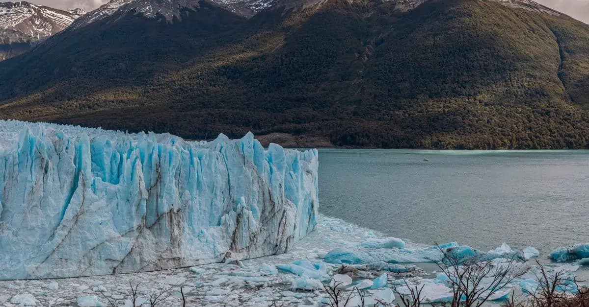Les Meilleures Destinations pour des Expéditions Nature Inoubliables