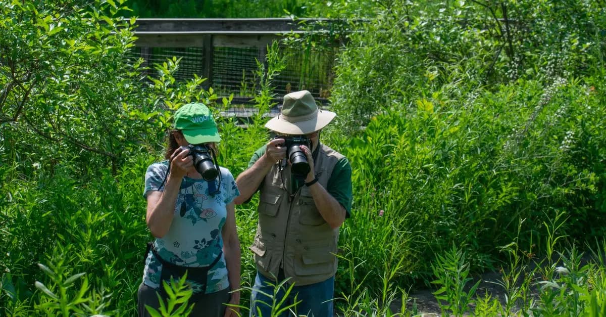 Guide pour photographier la faune lors de vos expéditions nature