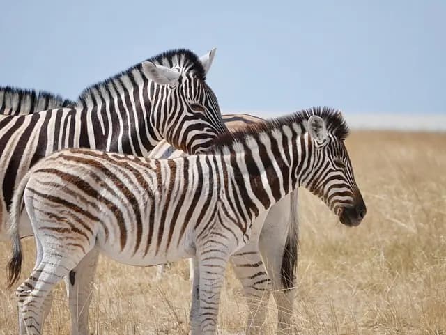Préparer une Expédition Nature Inoubliable : Guide Complet