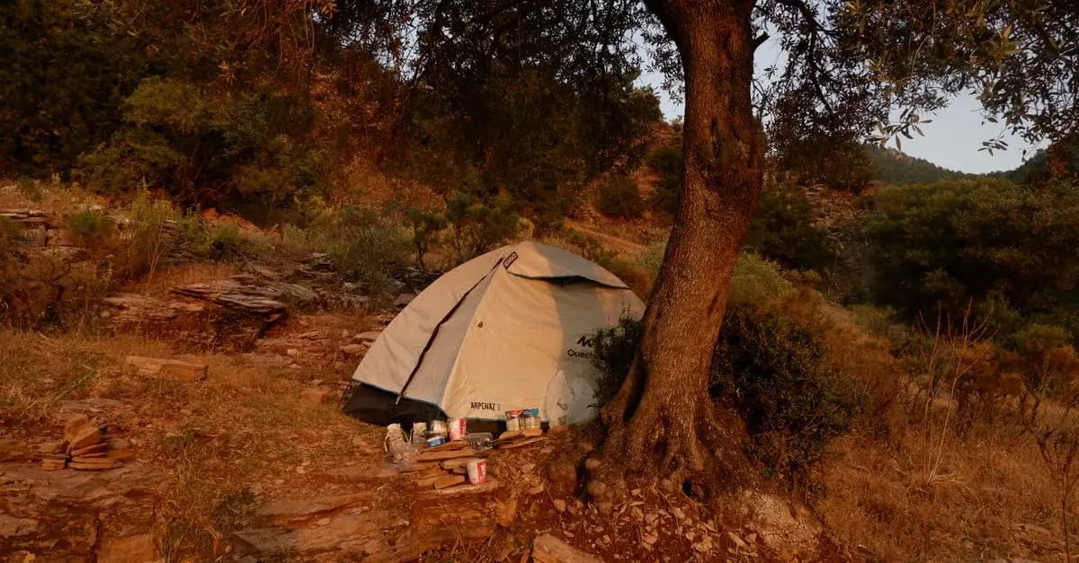 Les Meilleures Techniques de Survie pour Vos Expéditions Nature