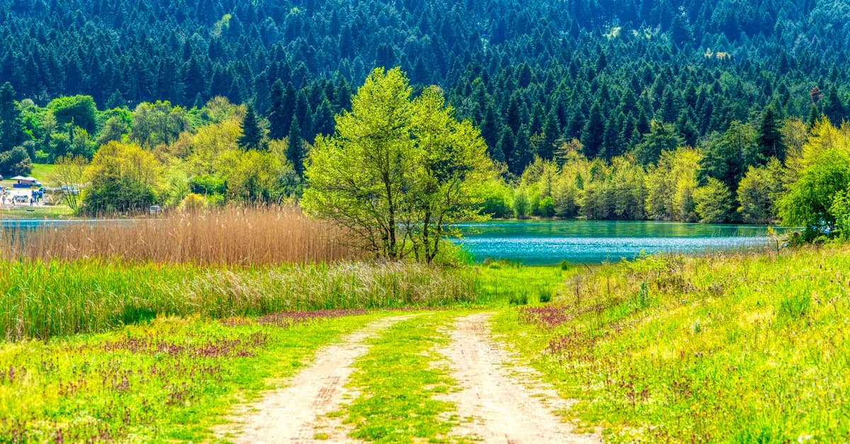 Comment choisir la meilleure période pour vos expéditions nature