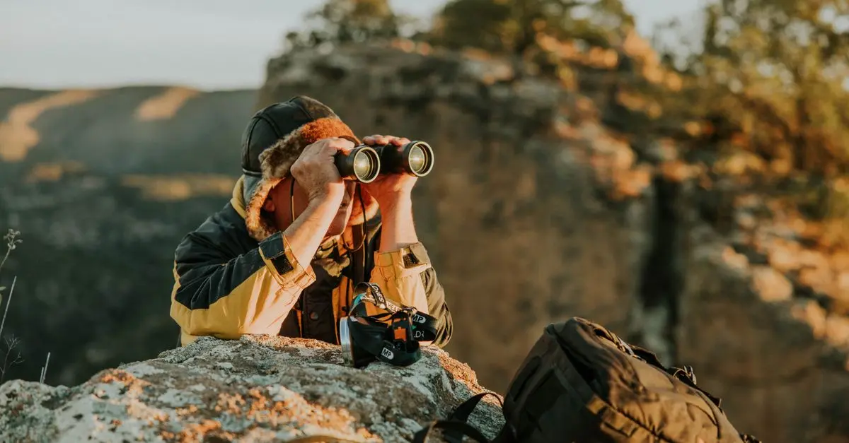 L'art de l'observation des oiseaux : conseils et techniques