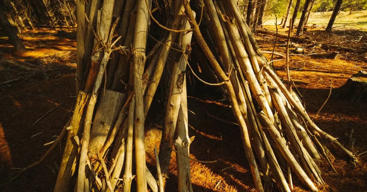 Les Meilleures Techniques de Survie lors des Expéditions en Nature