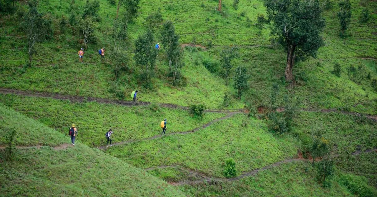 10 conseils indispensables pour une expédition nature réussie