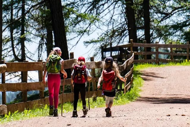 10 Astuces Indispensables pour Réussir Vos Expéditions Nature