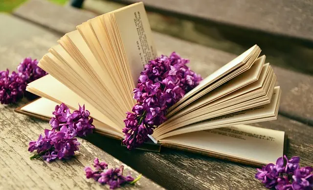 Top 10 des conseils pour réussir votre expédition nature