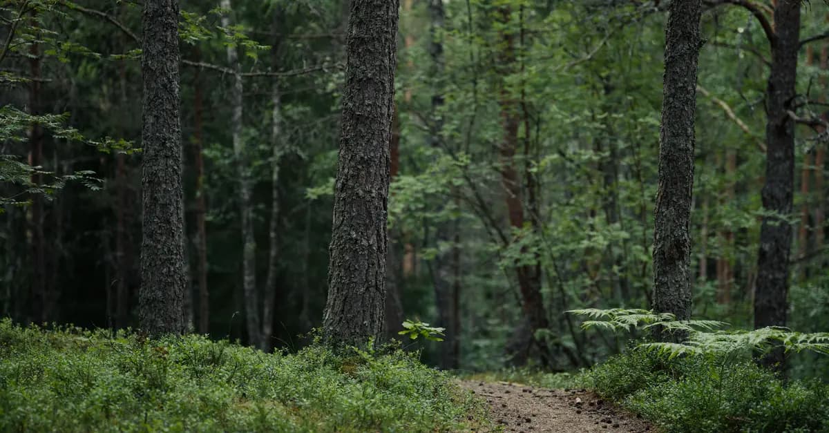 Comment choisir le bon itinéraire pour vos expéditions nature