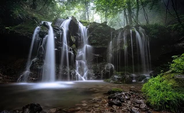 10 astuces pour une expédition nature réussie