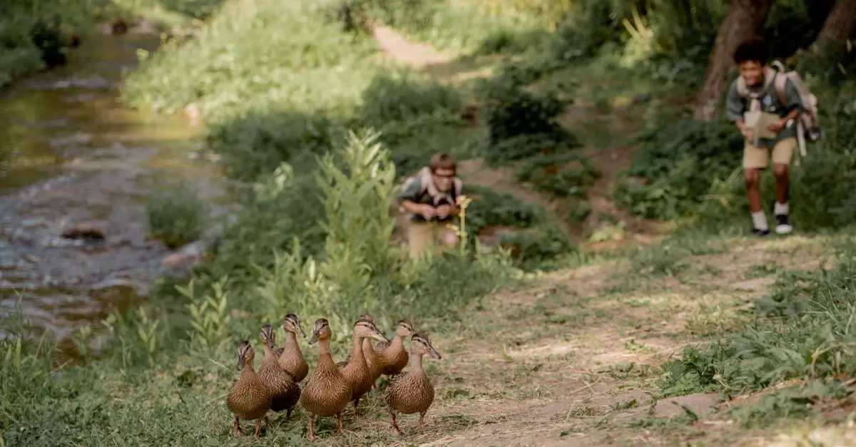 Les meilleures destinations pour observer la faune sauvage
