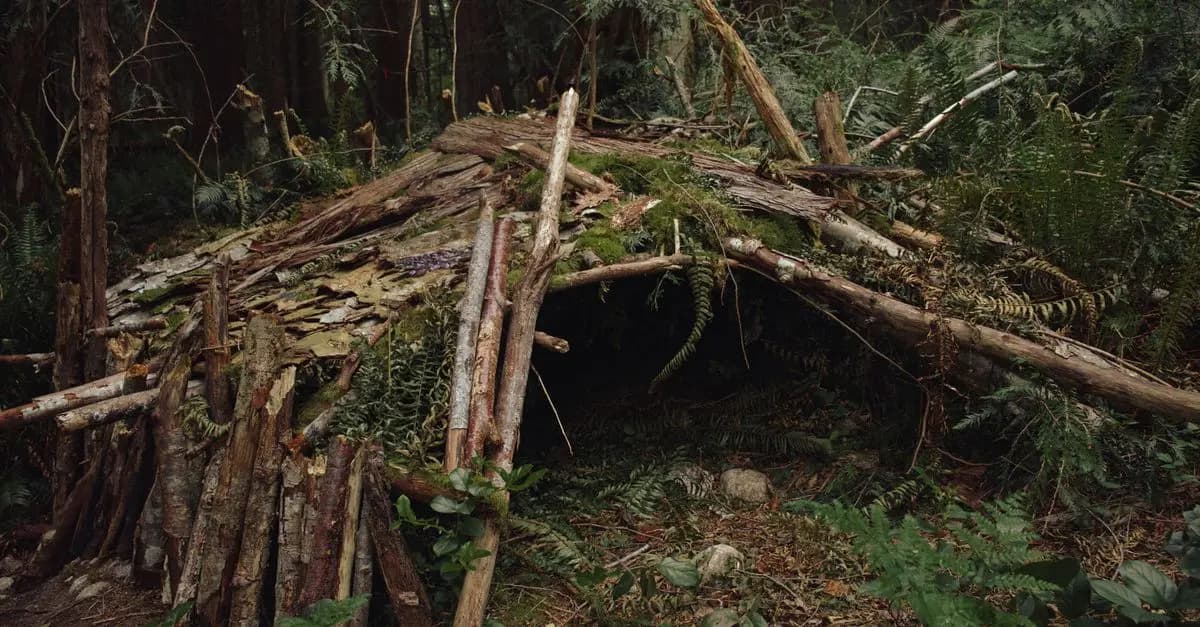 Les meilleures techniques pour survivre en pleine nature