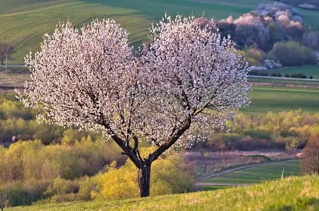 Comment bien choisir son guide pour une expédition nature