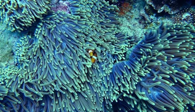 5 Écosystèmes Fascinants à Explorer lors de Vos Expéditions