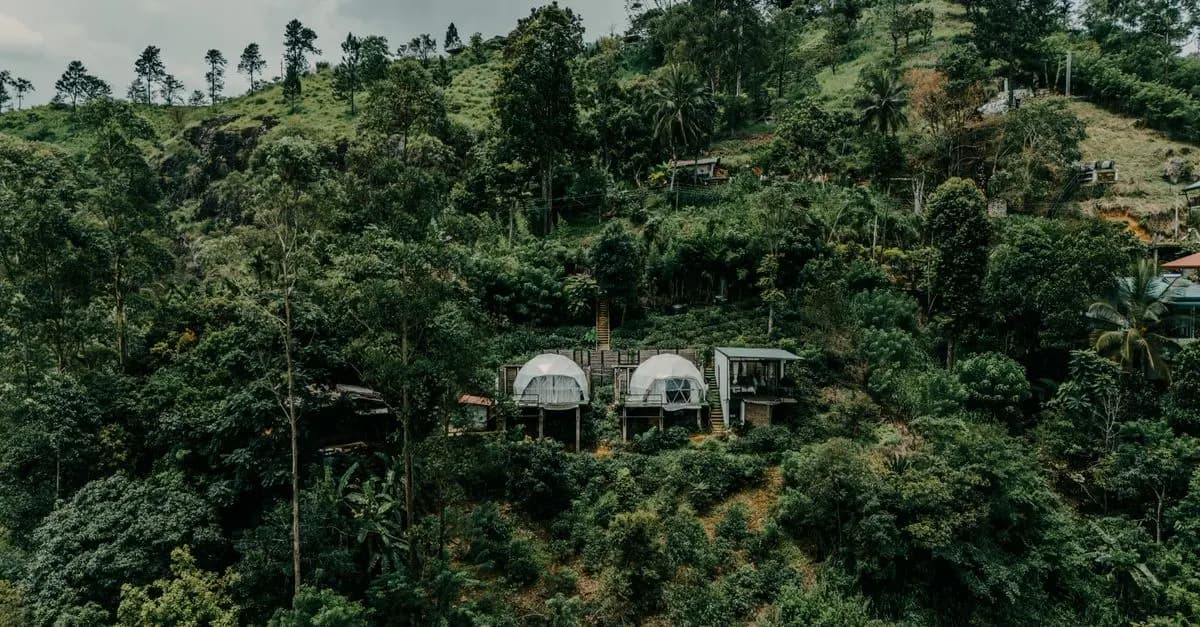 Les Meilleures Destinations pour des Expéditions Nature Écoresponsables