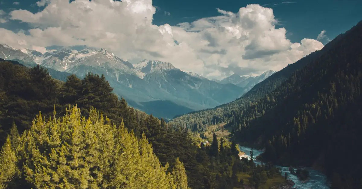 Les astuces pour choisir votre destination d'expédition nature