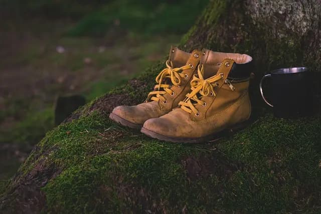 Comment bien choisir son équipement pour les expéditions nature