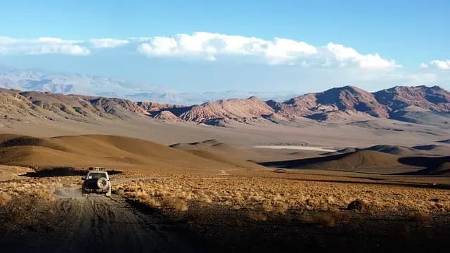 Les meilleures techniques de survie pour vos expéditions en nature