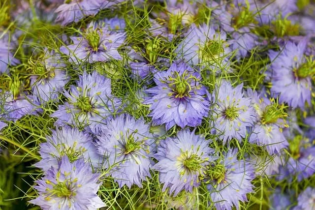 10 conseils pour réussir votre première expédition en pleine nature