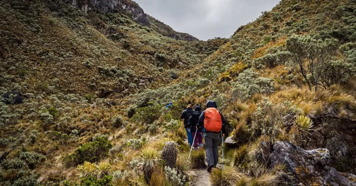 Découvrez le parc national des Écrins : joyau des Alpes françaises