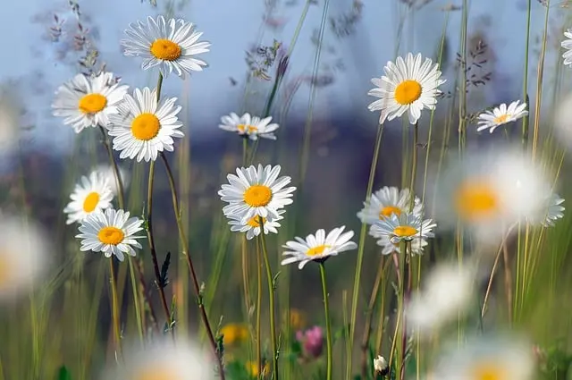 10 conseils pour maximiser le plaisir de vos expéditions nature