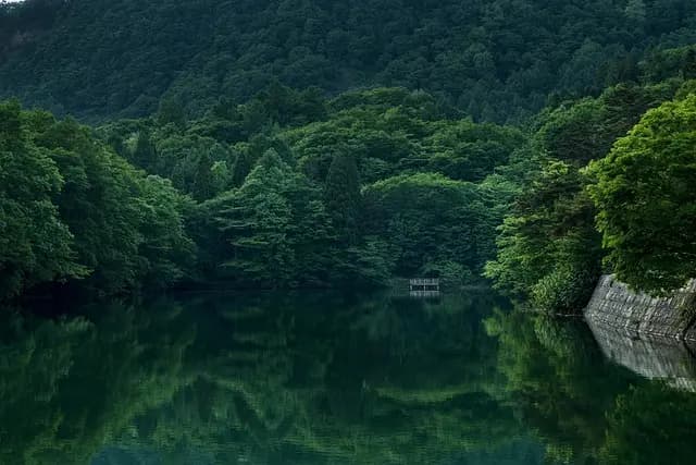 Les Meilleures Destinations pour des Expéditions Nature Inoubliables