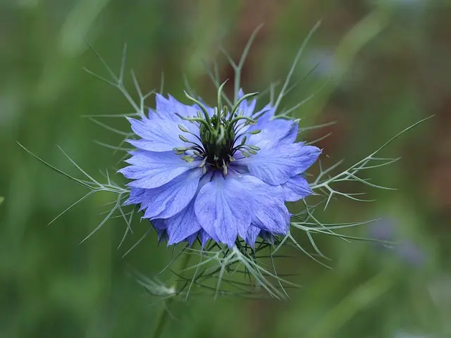 Comment choisir le bon équipement pour vos expéditions nature