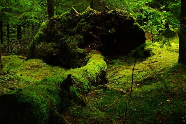 Les meilleurs conseils pour une expédition nature réussie