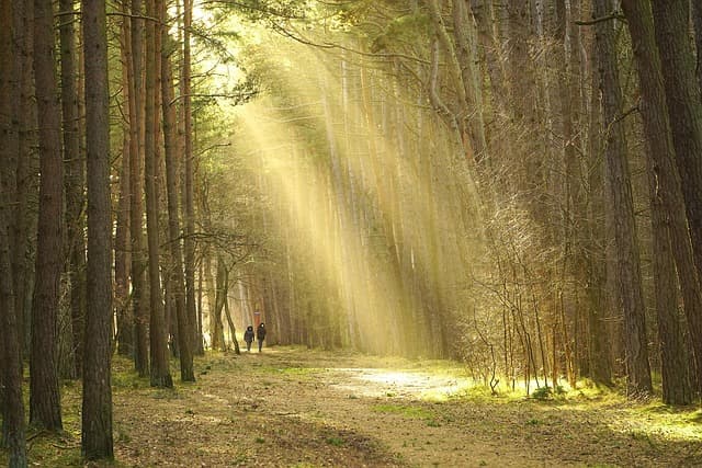 La préparation idéale pour vos expéditions en nature
