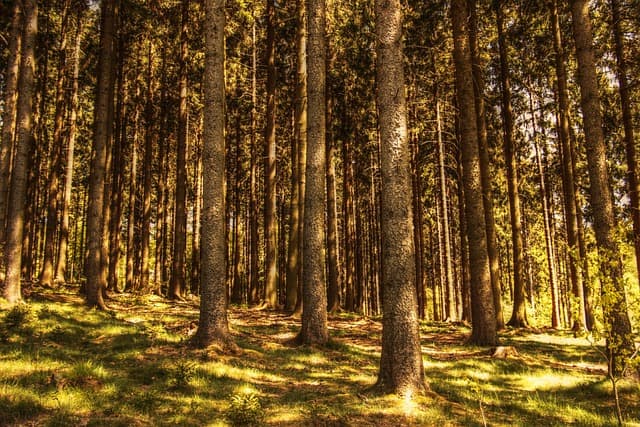 Comment choisir l'itinéraire parfait pour votre expédition nature