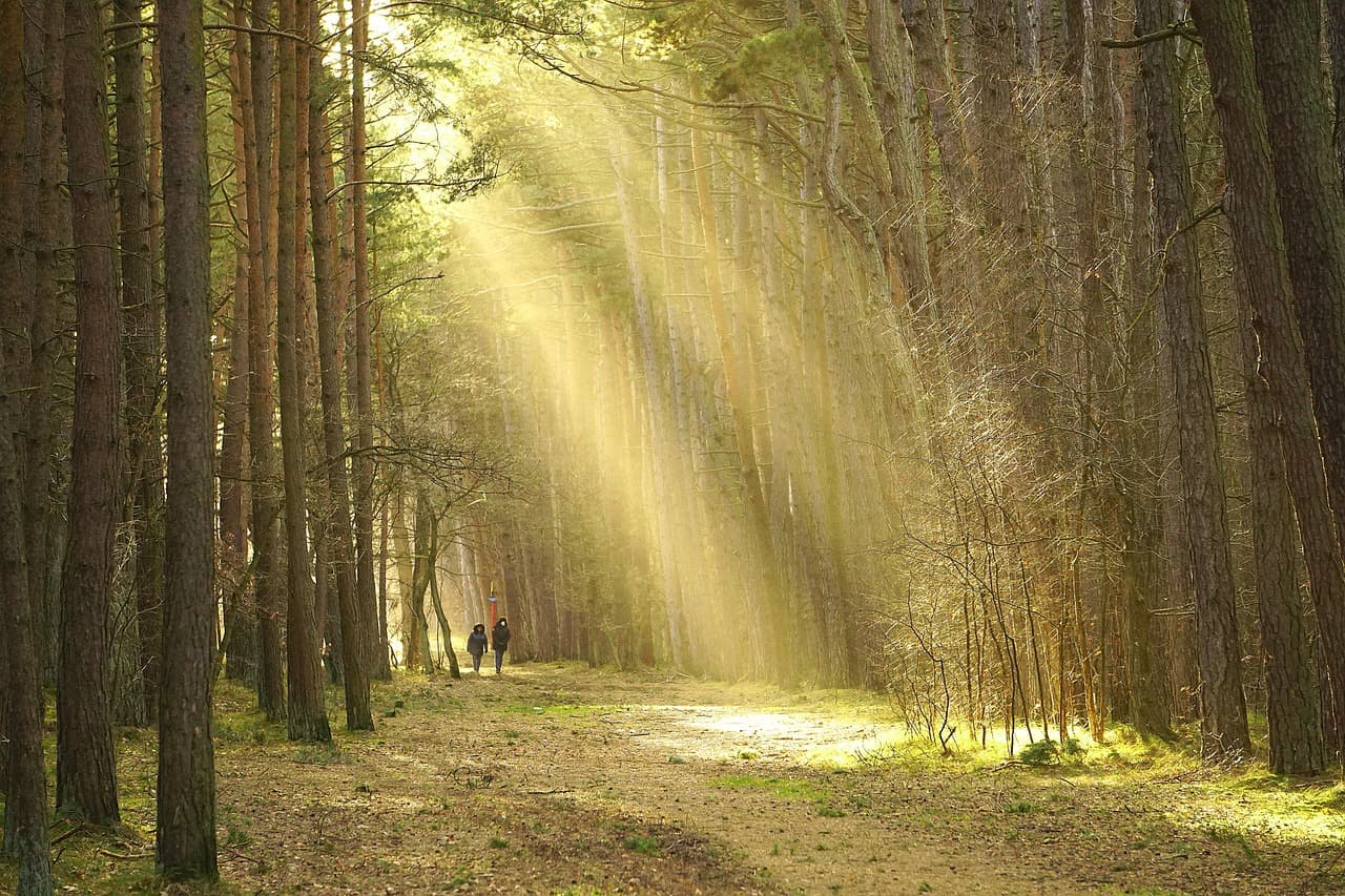 Les meilleures pratiques pour réussir votre expédition nature