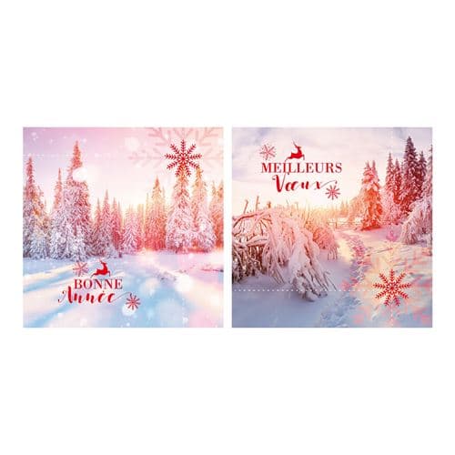 Carte De Voeux - 5 Cartes Bonne Année Paysages Enneigés Soleil Couchant
