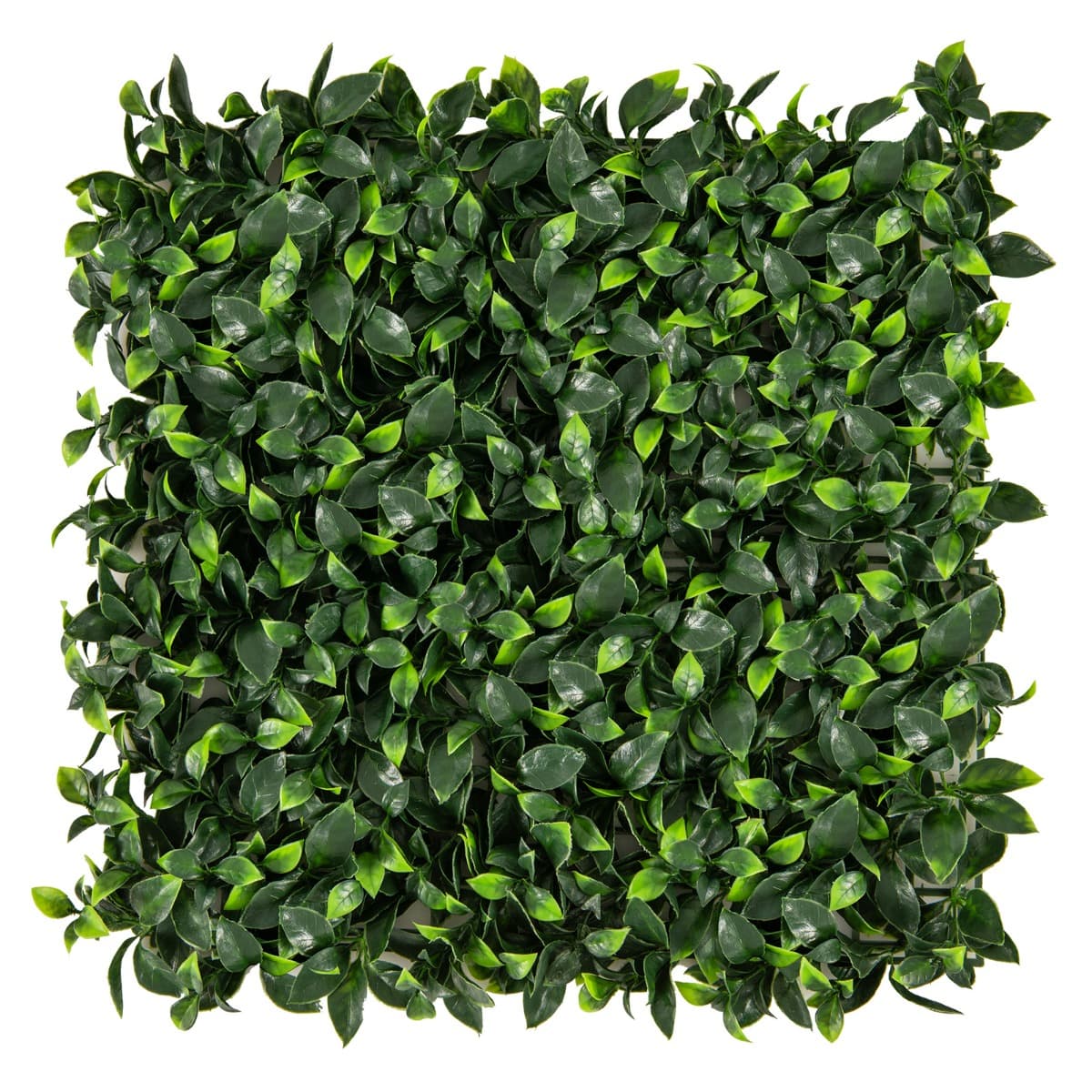 Costway12 Panneaux Muraux en Gazon Artificiel 50 x 50cm Panneaux d'Arbustes en Imitation Topiaire de Gardénia Toile de Fond Murale Haie d'Intimité